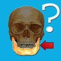Викторина: Анатомия icon