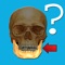 "Anatomy Quiz" is a quiz which invites you to test your knowledge of human anatomy