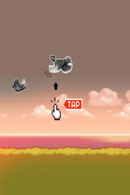 Game screenshot Crappy Bird - Pigeons take Aim! apk
