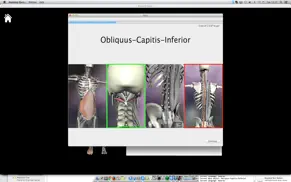 anatomy quiz+ айфон картинки 3