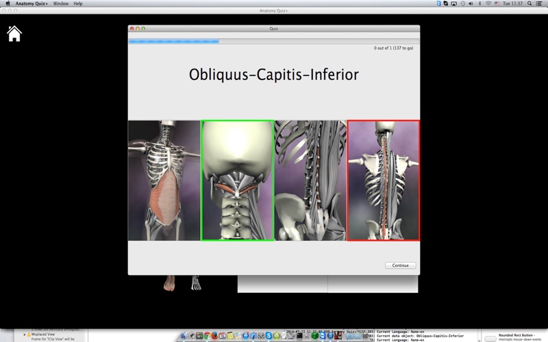 anatomy quiz+ problems & solutions and troubleshooting guide - 1