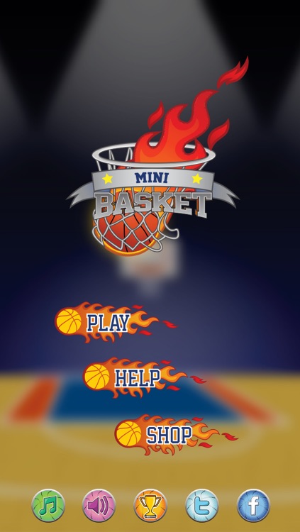 Mini Basket