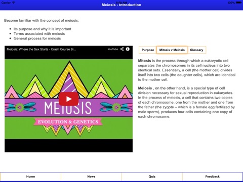 Decode Meiosis screenshot 2