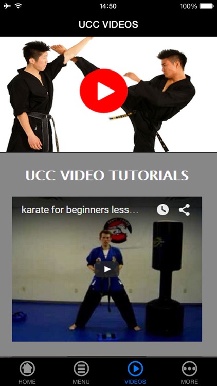 Learn Karate - Beginner's Guide screenshot-3