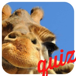 A Guess the Close Up Pics Trivia Quiz - Ultimate Word Heroes Random Puzzle Game - Free App