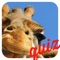 You will LOVE this close up quiz