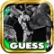 Kickboxing Sport Quiz