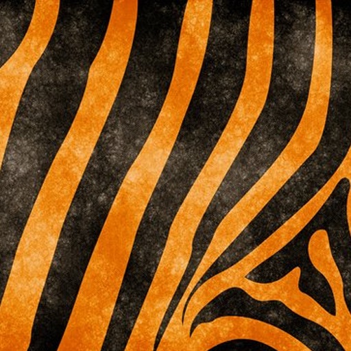 Eye of the tiger icon