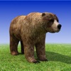 Bear Simulator 3D Madness - iPhoneアプリ