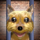 Save The Dog - the Free The Dog puzzle game