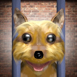 Save The Dog - the Free The Dog puzzle game