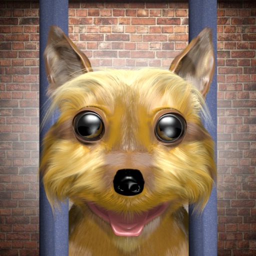 Save The Dog - the Free The Dog puzzle game Icon