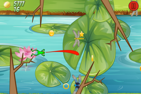 Toad and Frog Games - The Tiny Frogs Swamp Escape Game screenshot 2