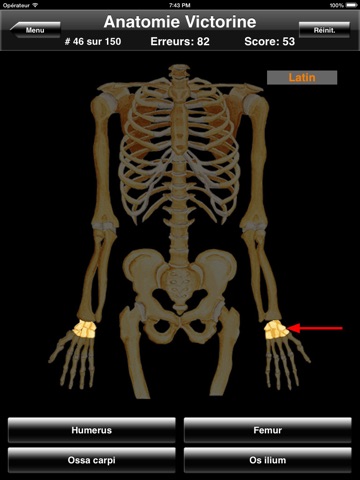 Anatomy Quiz for iPad screenshot 3