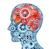 脑游戏 (Brain Game !)