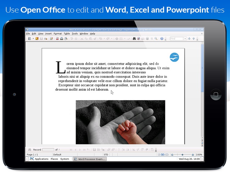 AlwaysOnPC - Firefox with Flash Player and Office on a Virtual PC for iPad