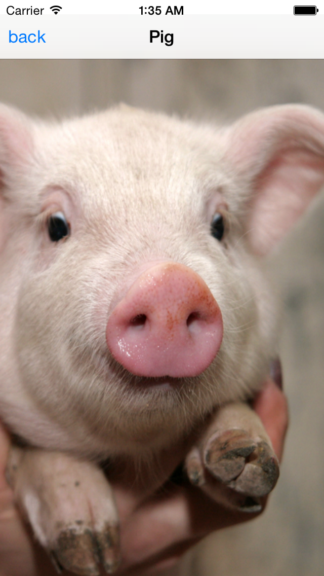 Screenshot #2 pour ANIMAL SOUNDBOARD SOUNDS