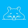 Gerbil VPN