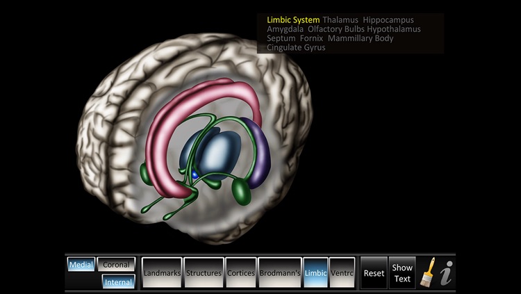 Cerebrum ID screenshot-3