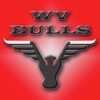 BULLS TEAM WORLDWIDE