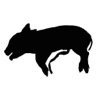 Dig a Pig icon