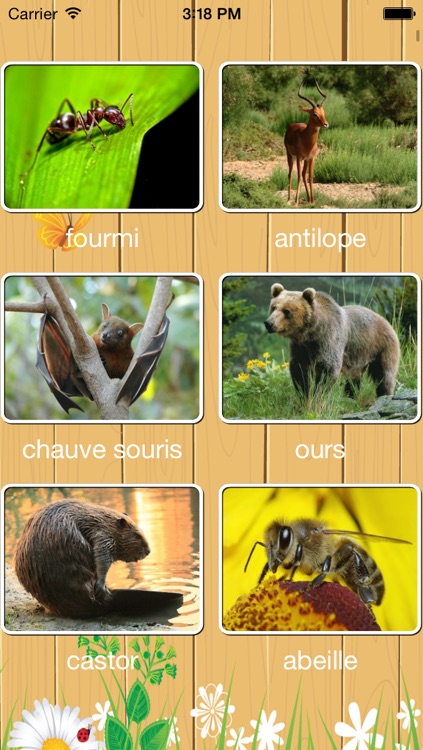 Spell Animal Name in French - Épeler Animal Nom Dans Français