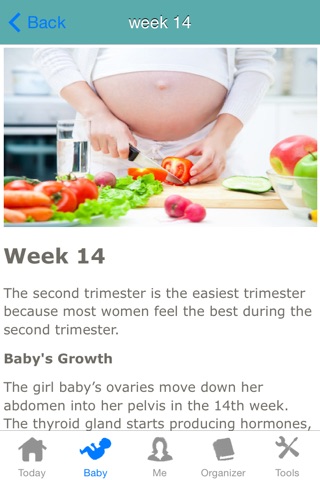 Pregnancy Birth Defects Prevention screenshot 4