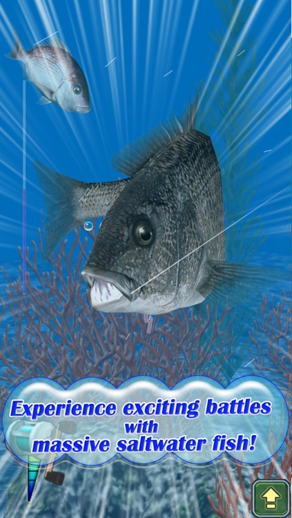 Reel Fishing Pocket 2 : Ocean