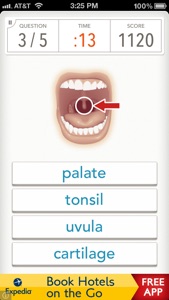 Quizzitive – A Merriam-Webster Word Game screenshot #4 for iPhone