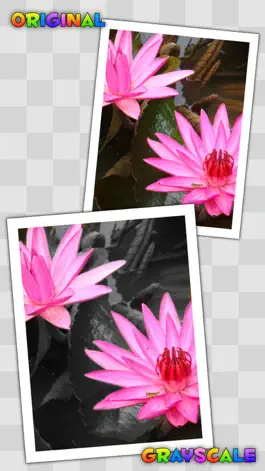 Game screenshot Photo Splat Free hack