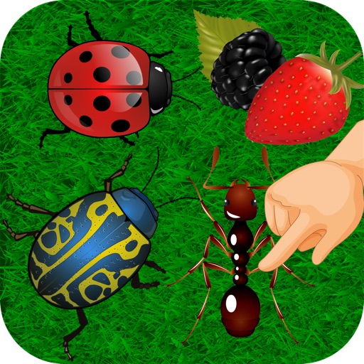 Ant and bugs smasher crazy challenge - 5 games icon