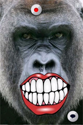 A Talking  Angry Gorilla for iPhone screenshot 2