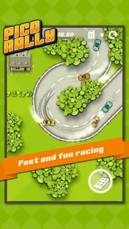 Game screenshot Pico Rally mod apk