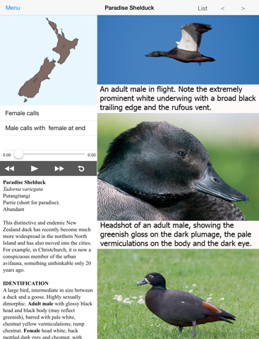 Birds of New Zealand LITEのおすすめ画像2