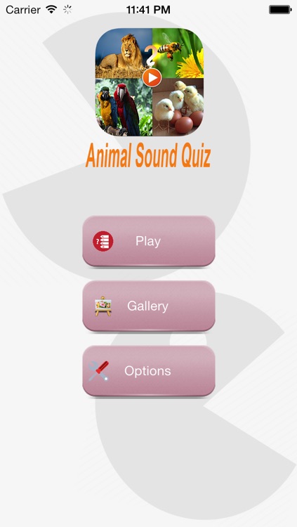 Animal Sound Quiz
