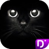Find Cat Find Cat