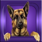 Guess it - Dog Breeds