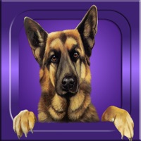 Deviner - Races de Chiens pour PC