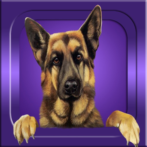 Get Guess it - Dog Breeds for iOS, iPhone, iPad Aso Report