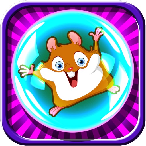 A Sonic Hamster Super Space Time Travel Wipeout – Lite Version iOS App