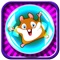 A Sonic Hamster Super Space Time Travel Wipeout – Lite Version