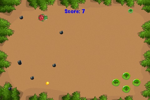 Turtle Time Bomb Run - Speedy Animal Survival Game Free screenshot 4