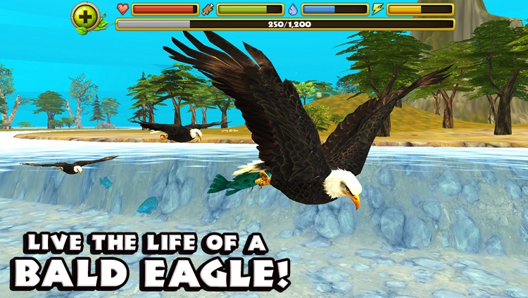 Eagle Simulator