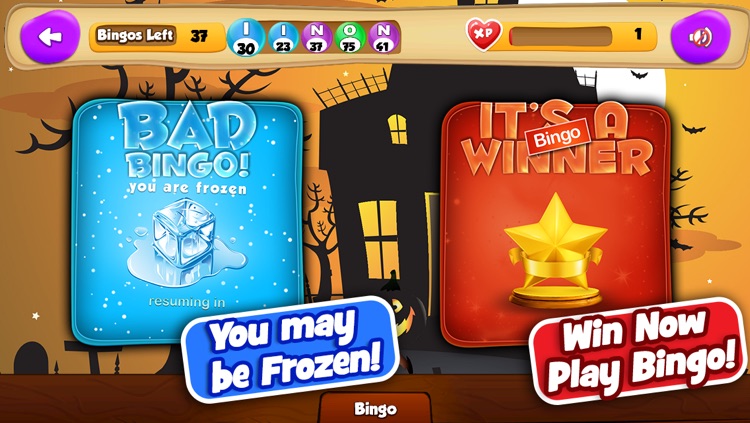 Crazy Bingo Pro - Fun Bingo Game screenshot-3