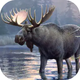 Moose Hunting Calls! app icon
