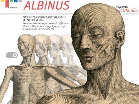 Albinus screenshot 3