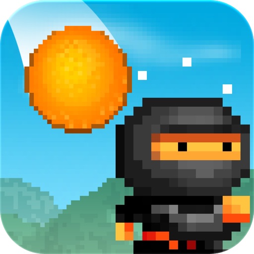 8bit Ninja Review