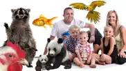 animal photo booth - add real animals to your images problems & solutions and troubleshooting guide - 4