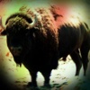 Buffalo - Sound Board, Ringtones and Alerts