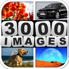 Guess 3000 Images